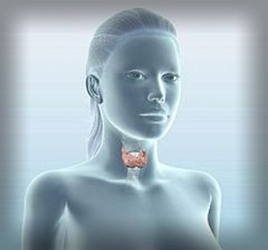 Thyroidism Symptoms