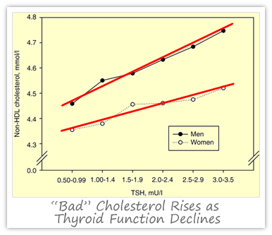 thyroid-cholesterol